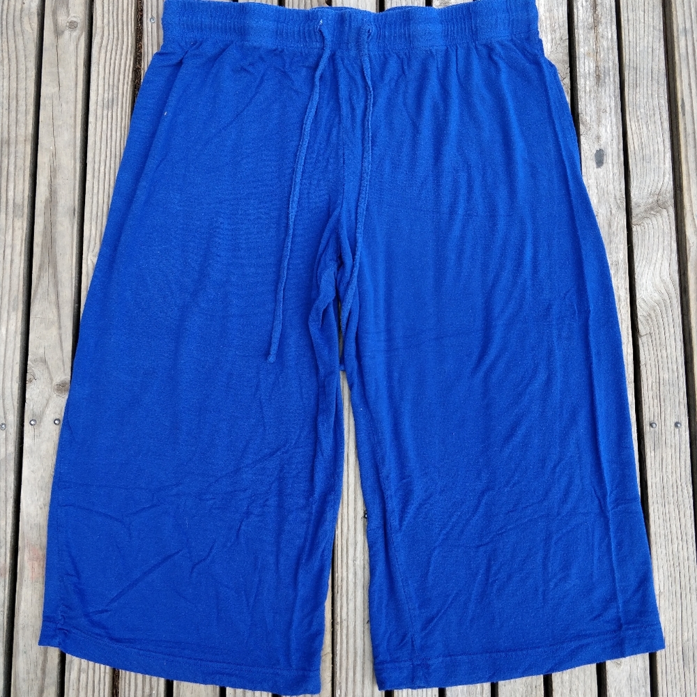 L Serra Blue Capri Pants
